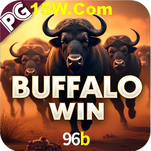 Flash Promotion 96b